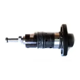 Пара плунжерна