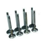 Комплект клапанів впускних та випускних