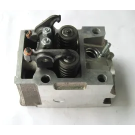 Головка блока в сборе с клапанами