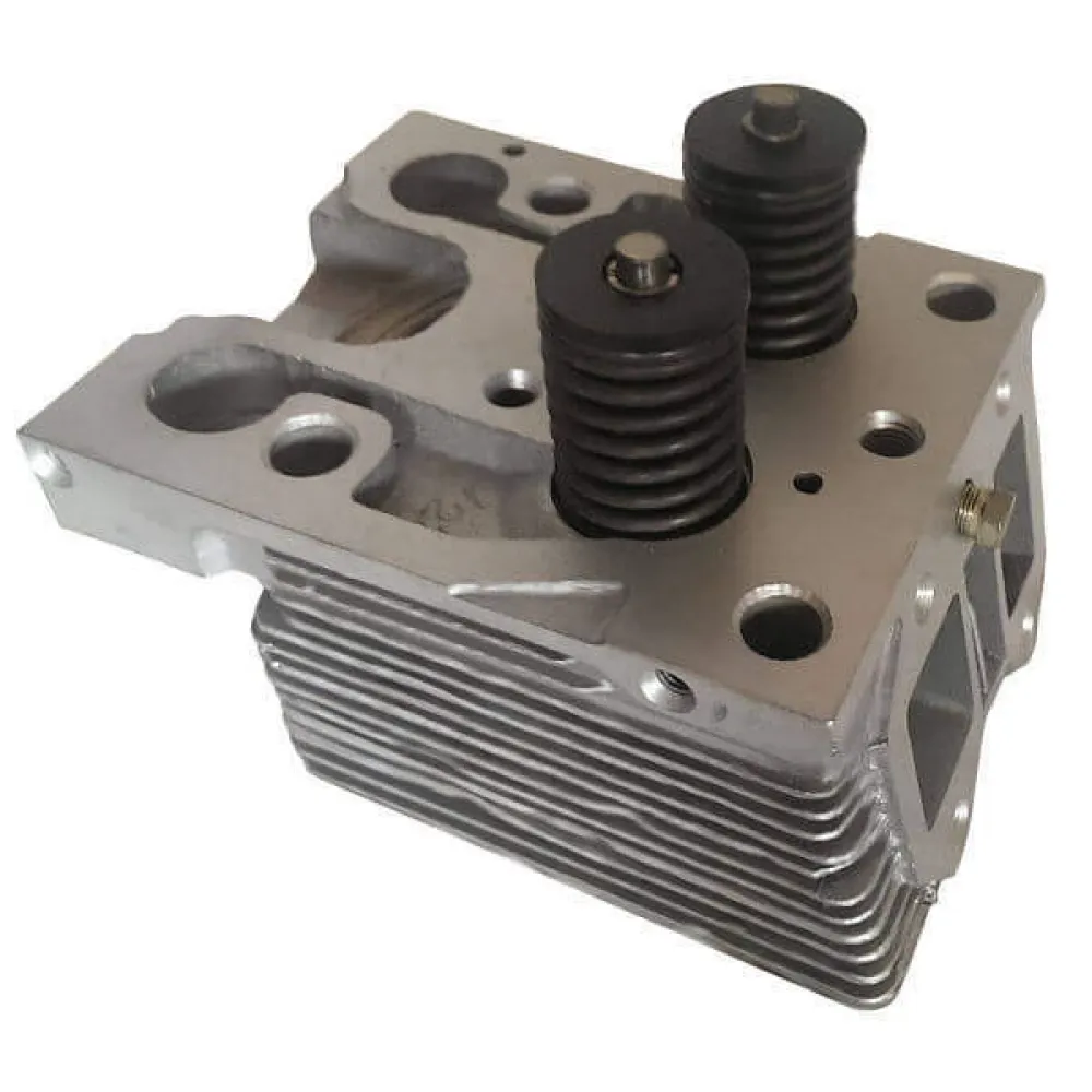 Головка блоку в зборі з клапанами