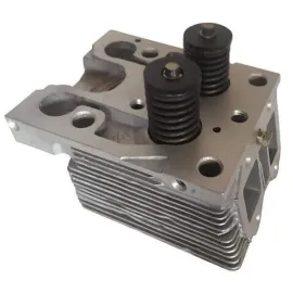 Головка блоку в зборі з клапанами