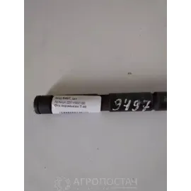 Ось коромысел