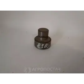 Шкворінь