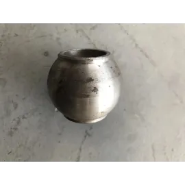 Яблоко упорное