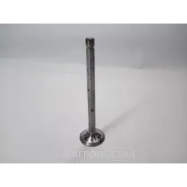 Клапан выпускной