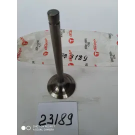 Клапан впускной