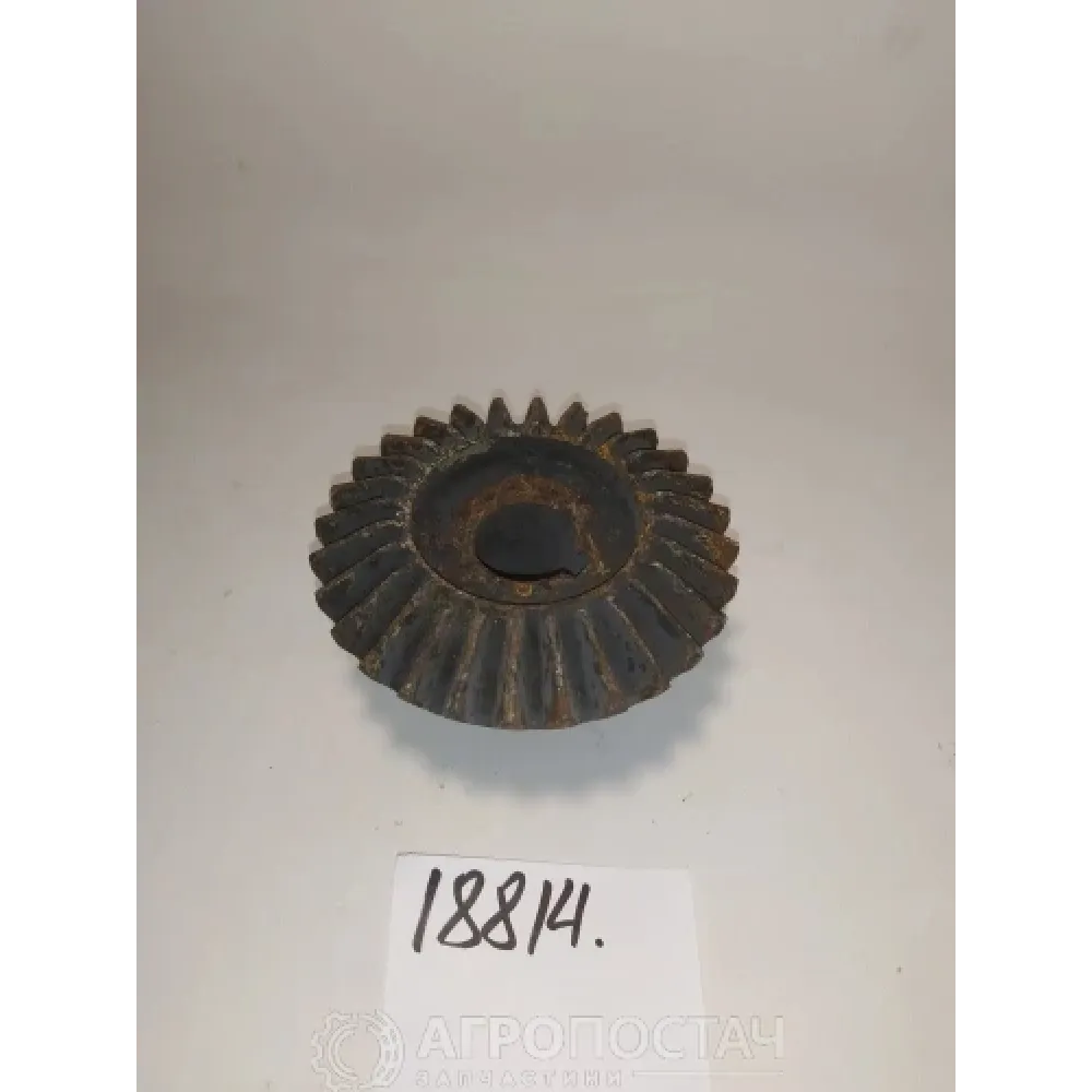 Шестерня конічна ЗМ 07.603