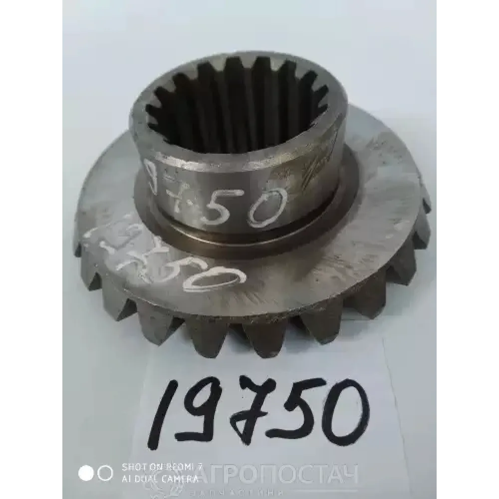 Шестерня півосі 1522-2403048 МТЗ 1025, МТЗ 1221, МТЗ 1523