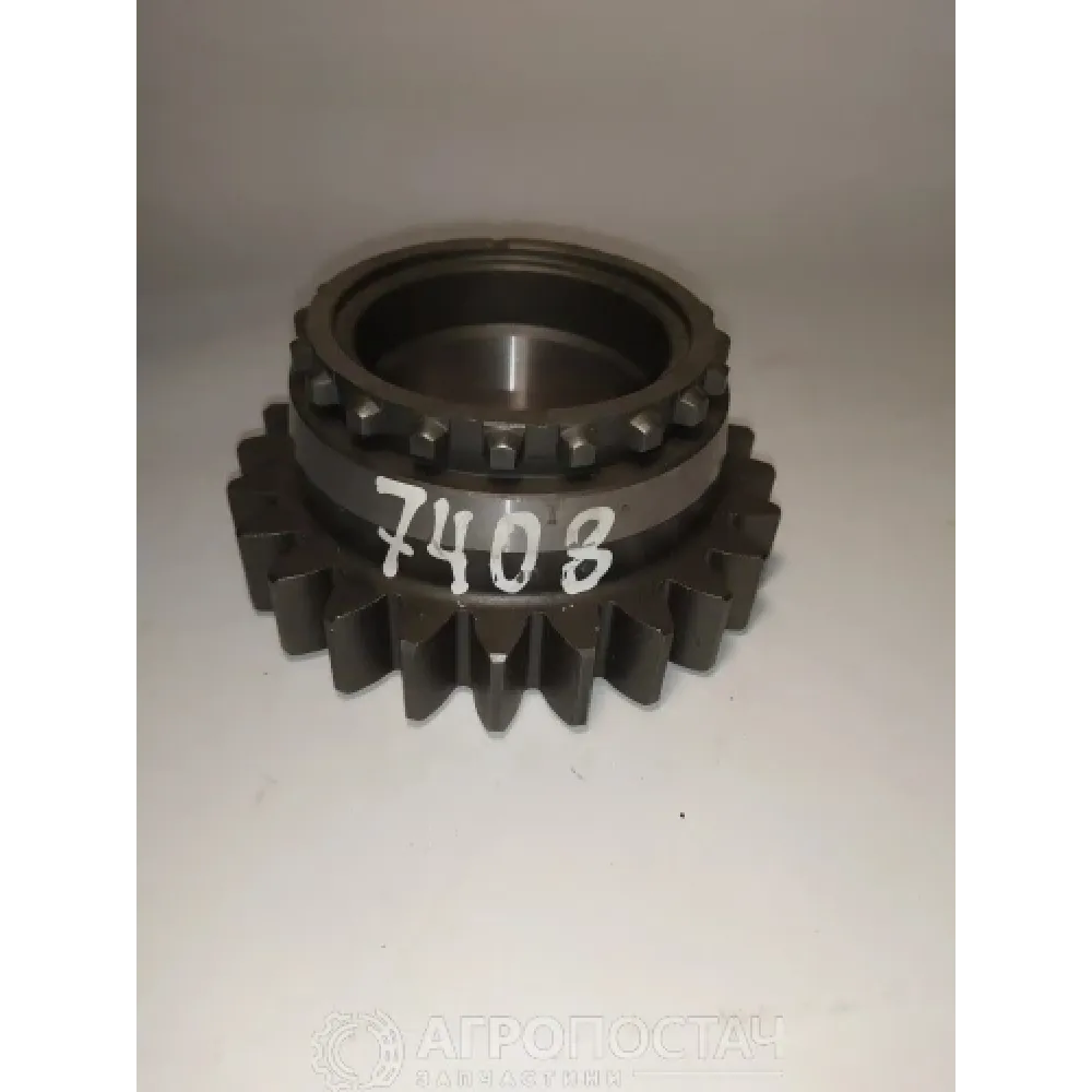 Шестерня валу первинного КПП 80С-1701048 МТЗ 1025, МТЗ 1221