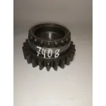 Шестерня валу первинного КПП 80С-1701048 МТЗ 1025, МТЗ 1221
